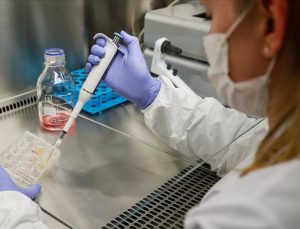 Böbrek ve sinir doku hücrelerinin anıları depolayabildiği keşfedildi