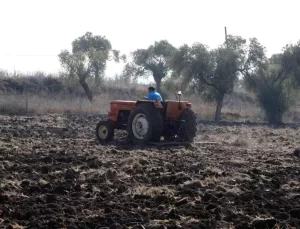 Bodrum Belediyesi, Karakılçık Buğdayı Ekimine Başladı