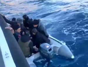 Bodrum’da 9 Düzensiz Göçmen Yakalandı