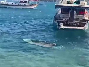 Bodrum’da Fırtına: Ağaçlar Devrildi, Balıkçı Teknesi Suya Gömdü