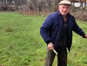 Bolu’da Köpek Kulübelerine Yangın: Yaşlı Adam Serbest