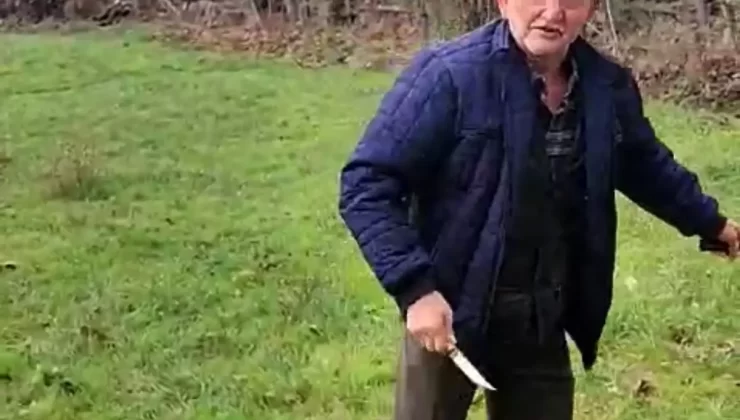 Bolu’da Köpek Kulübelerine Yangın: Yaşlı Adam Serbest