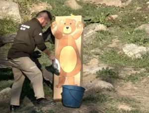 Boz Ayılar Kış Uykusuna Yatmadı