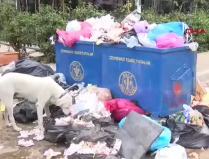 Buca Belediyesi’nde Grev Başladı