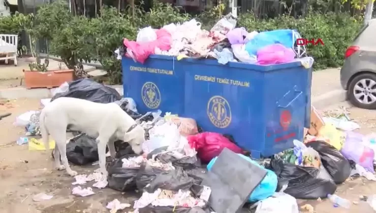 Buca Belediyesi’nde Grev Başladı