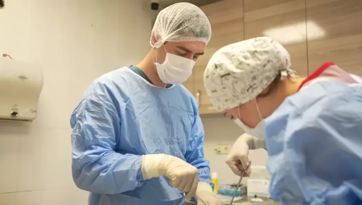 Buca’da Yeni Kedi Kısırlaştırma Ünitesi Hizmete Girdi