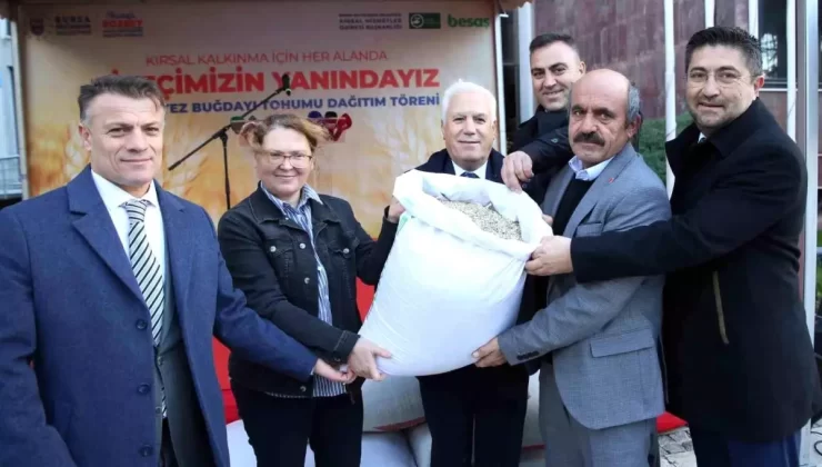 Bursa Büyükşehir Belediyesi’nden Çiftçilere Siyez Buğdayı Desteği