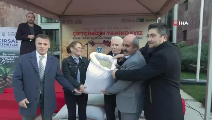 Bursa Büyükşehir Belediyesi’nden Çiftçilere Siyez Buğdayı Desteği