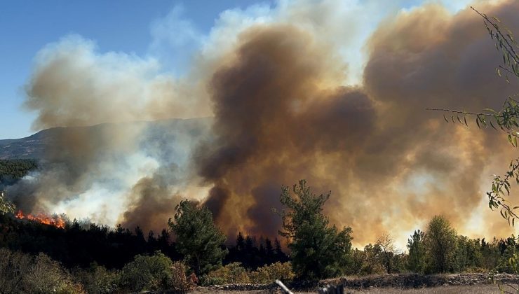 Bursa’da başlayan orman yangını Balıkesir’e sıçradı