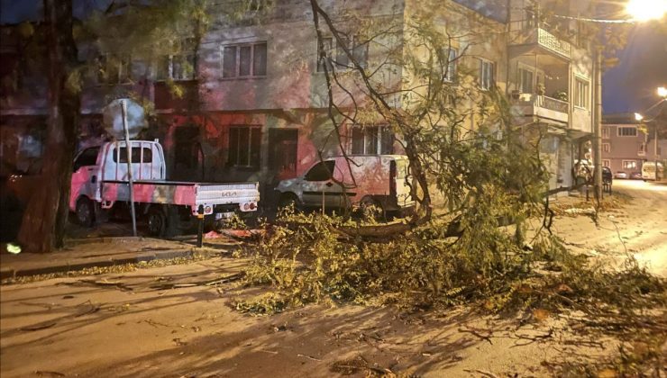 Bursa’da fırtına: Ağaçlar, tabelalar ve inşaat iskelesi devrildi