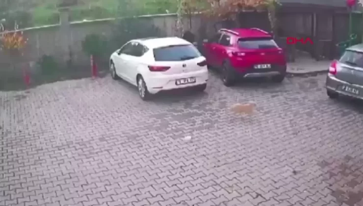 Bursa’da Köpeğe Saldırı Anları Güvenlik Kamerasında