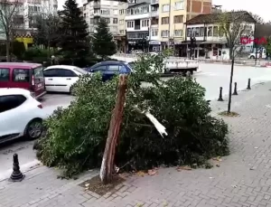 Bursa’da Lodos Hayatı Olumsuz Etkiledi