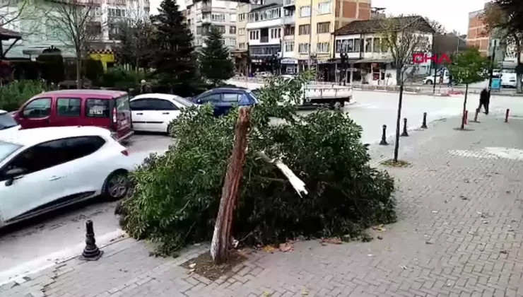 Bursa’da Lodos Hayatı Olumsuz Etkiledi