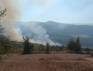 Bursa’da Orman Yangınları