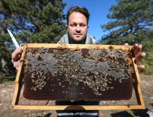 Bursa’da Üçüncü Kuşak Arıcılık