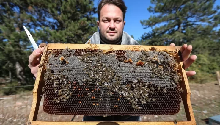 Bursa’da Üçüncü Kuşak Arıcılık