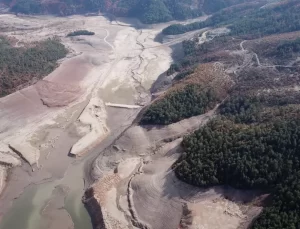 Bursa’nın İçme Suyu Kaynakları Tehdit Altında: Nilüfer Barajı Kurudu