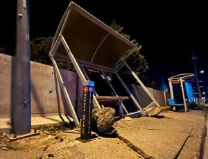 Bursa’yı lodos vurdu: Ağaçlar devrildi, durak yerinden söküldü