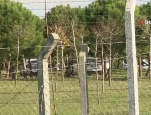 Büyükçekmece’de Cenaze İncelemesi Tamamlandı