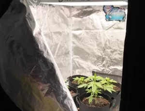 Çanakkale’de Uyuşturucu Operasyonu: 3 Tutuklama