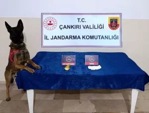 Çankırı’da Uyuşturucu ve Göçmen Operasyonu
