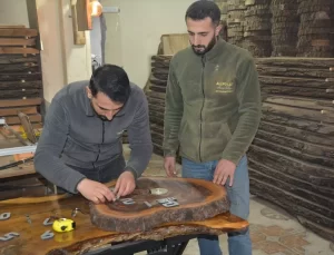 Ceviz Ağaçlarından Ekonomi Yaratan Kardeşler