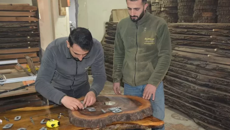 Ceviz Ağaçlarından Ekonomi Yaratan Kardeşler