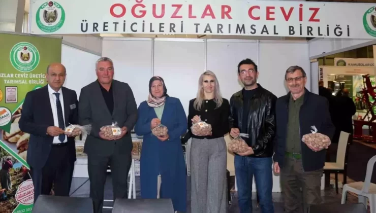 Ceviz Türkiye Fuarı Çorum’da Yoğun İlgiyle Düzenlendi