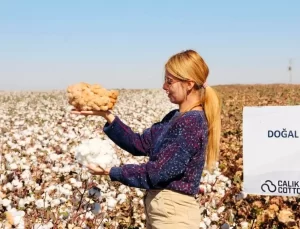 Ceylanpınar’da Doğal Renkli Pamuk Başarısı