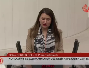 CHP Genel Başkan Yardımcısı Gökçe Gökçen: ‘Kanun Koyucuyu Devreden Çıkarıyorsunuz’