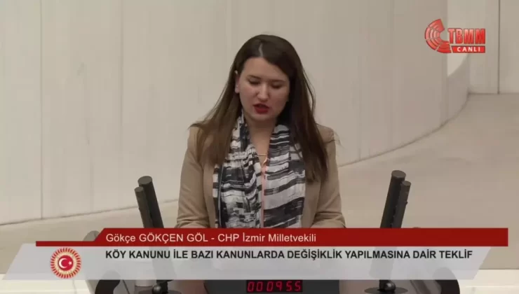 CHP Genel Başkan Yardımcısı Gökçe Gökçen: ‘Kanun Koyucuyu Devreden Çıkarıyorsunuz’
