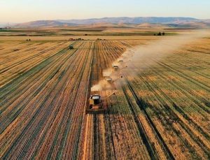 Çiftçilere 509,9 milyon TL destekleme ödemesi