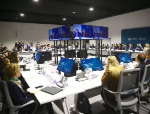 COP29’da İklim ve Barış Vurgusu