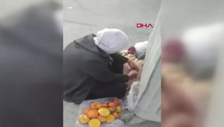 Çöpten Yiyecek Topluyor Gibi Dilenirken Yakalandı