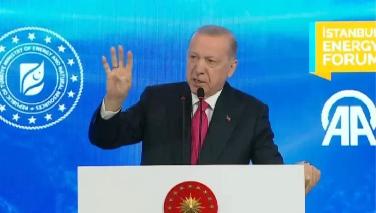 Cumhurbaşkanı Erdoğan: 2026 yılında hanelerimizin yarısını kendi doğalgazımızla karşılayacağız