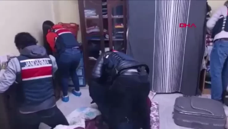 DEAŞ’a yönelik operasyonda bir kişi tutuklandı