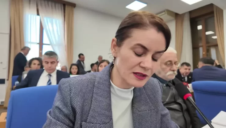 DEM Parti Milletvekili’nden Kayyumlara Sert Tepki