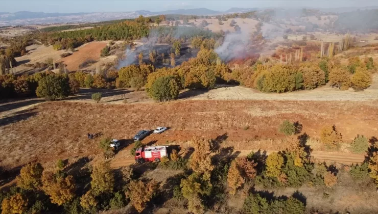 Demirci’de Tarım Arazisi Yanlış