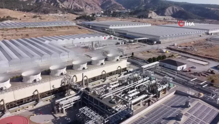 Denizli’de Jeotermal Sera Üretimine Başladı