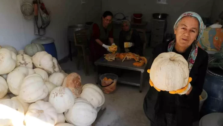 Deprem Sonrası Umut: Mari Teyze’nin Kabak Tatlısı