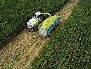 Destekleme ödemeleri çiftçilerin hesaplarında