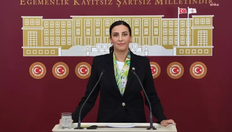 DEVA Partisi’nden Plastik Atık Çağrısı