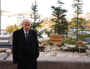 Devlet Bahçeli’den “Biz Kardeşiz Ağaçları”