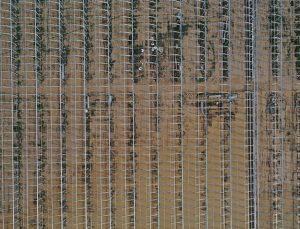 Devlet destekli tarım sigortalarında yüzde 10 prim indirimi