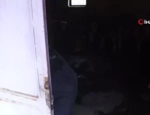 Dilber Nine’nin Konteyner Sevinci