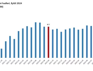 Dış Ticaret Haddinde Düşüş
