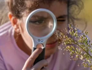 Diyarbakır’da ‘Dicle Güzeli’ Kelebeği Ziyarete Açık