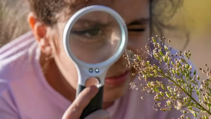 Diyarbakır’da ‘Dicle Güzeli’ Kelebeği Ziyarete Açık
