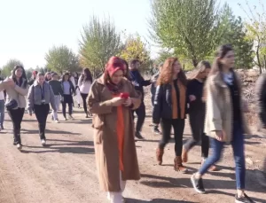 Diyarbakır’da Kadına Yönelik Şiddetle Mücadele İçin 80 Fidan Dikildi