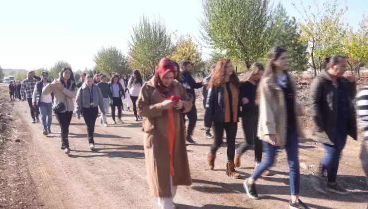 Diyarbakır’da Kadına Yönelik Şiddetle Mücadele İçin 80 Fidan Dikildi